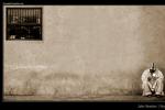 Window to Opportunity
